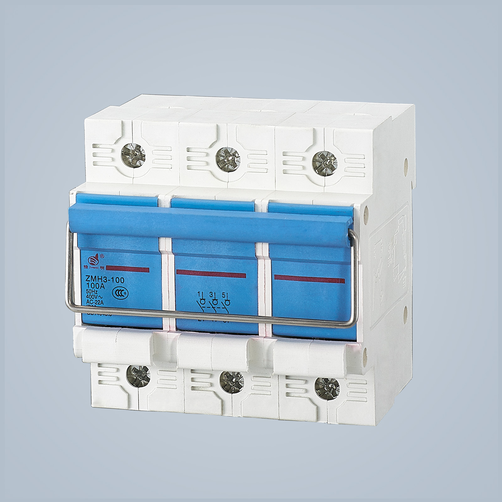 ZMH3-100 switch disconnector