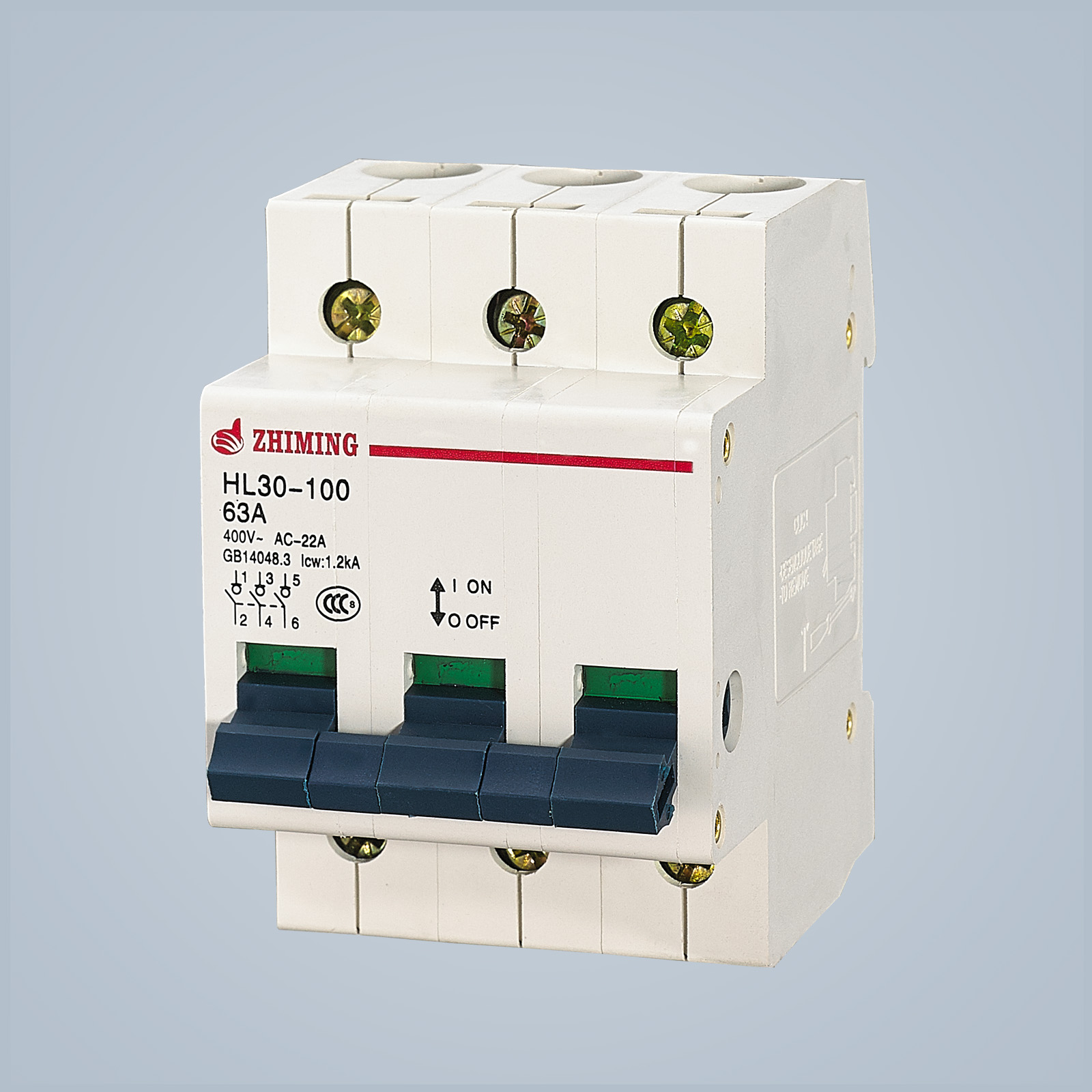 HL30-100 Switch Disconnector